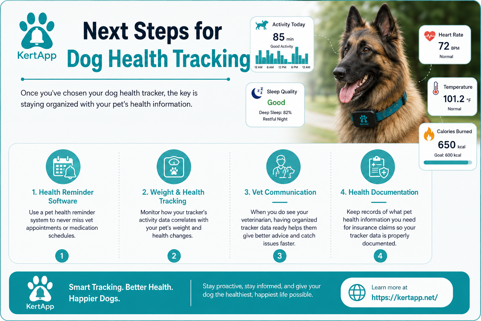 Dog health tracking steps