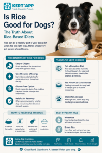 can dog eat rice