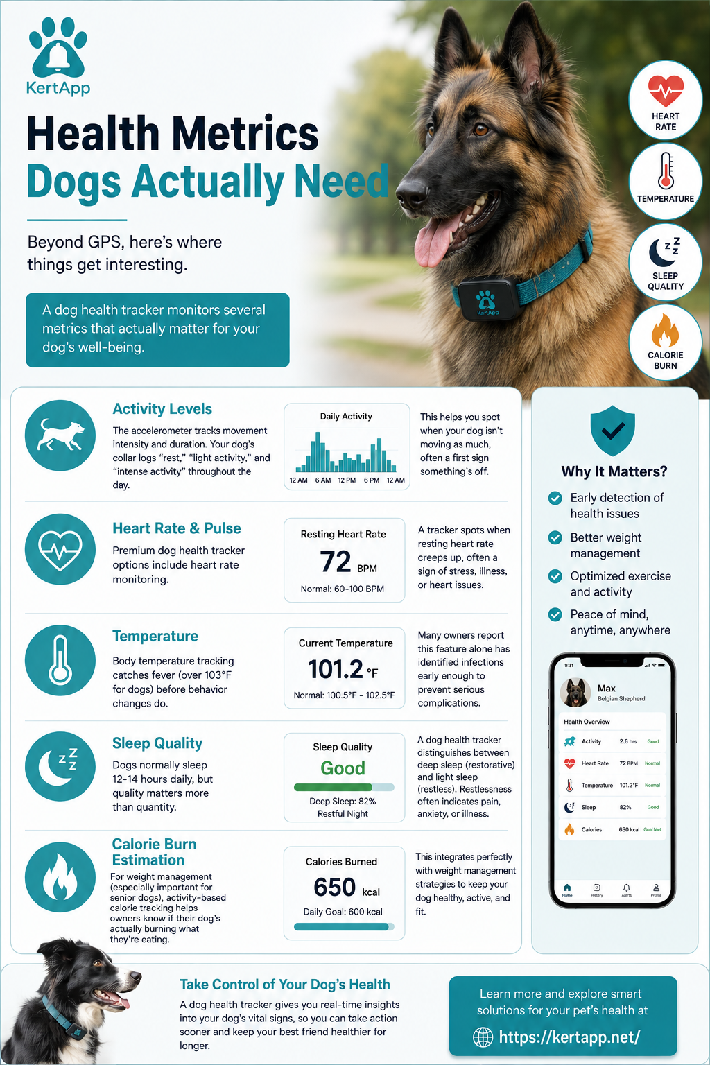 health metrics dog actually need